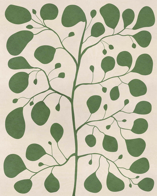 Pilea Fig Tree – Botanisk Poster med Gröna Blad i Tidlös Design