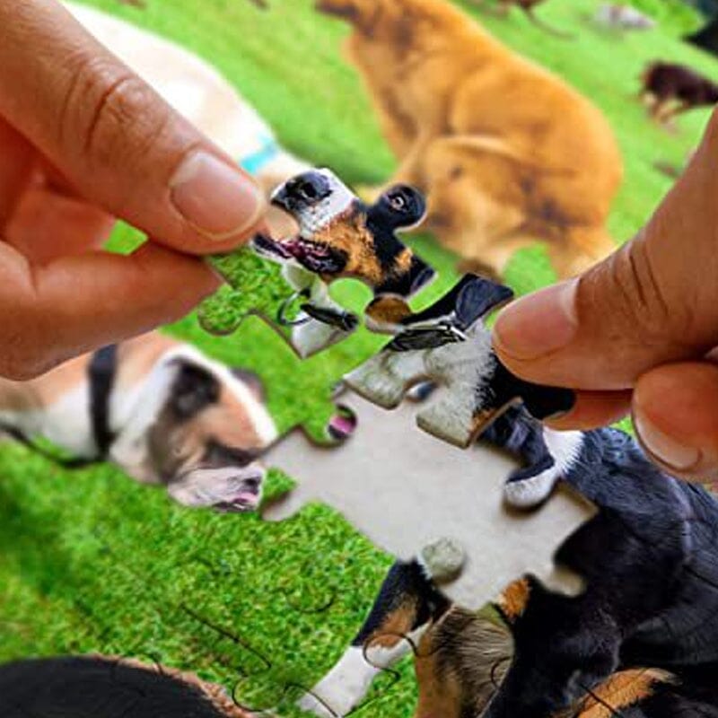 101 bajsande valpar pussel (1000 bitar)