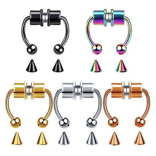 4 anneaux magnétiques pour septum