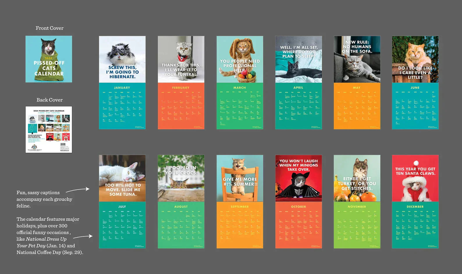 2024 Ilskna Katter Kalender