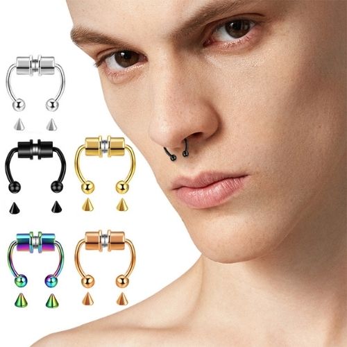 4 anneaux magnétiques pour septum