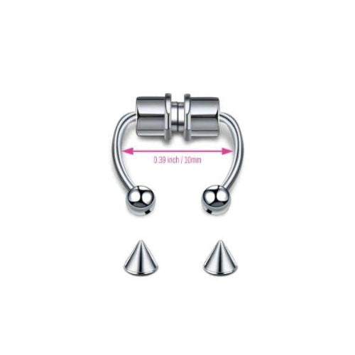 4 anneaux magnétiques pour septum