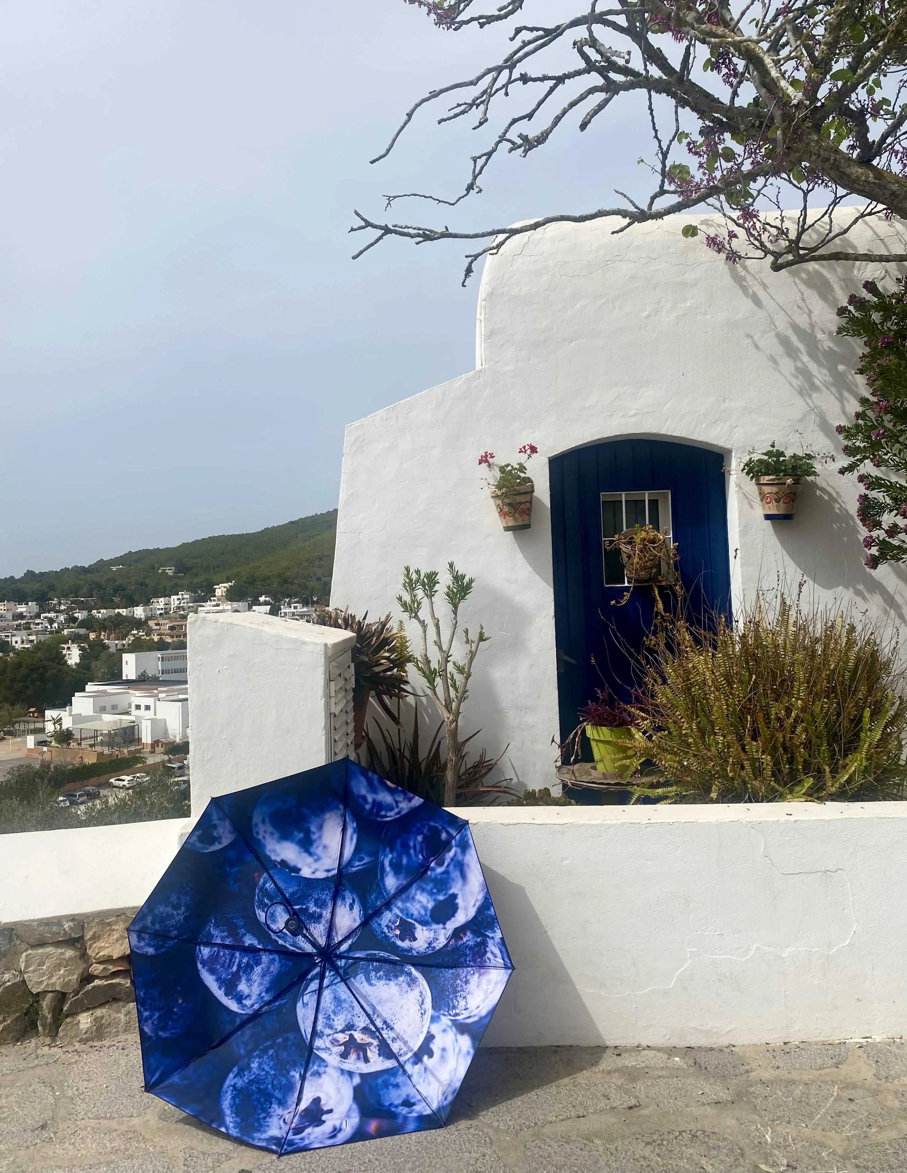 Blåbär Umbrella – Windproof & UPF50+ Protection