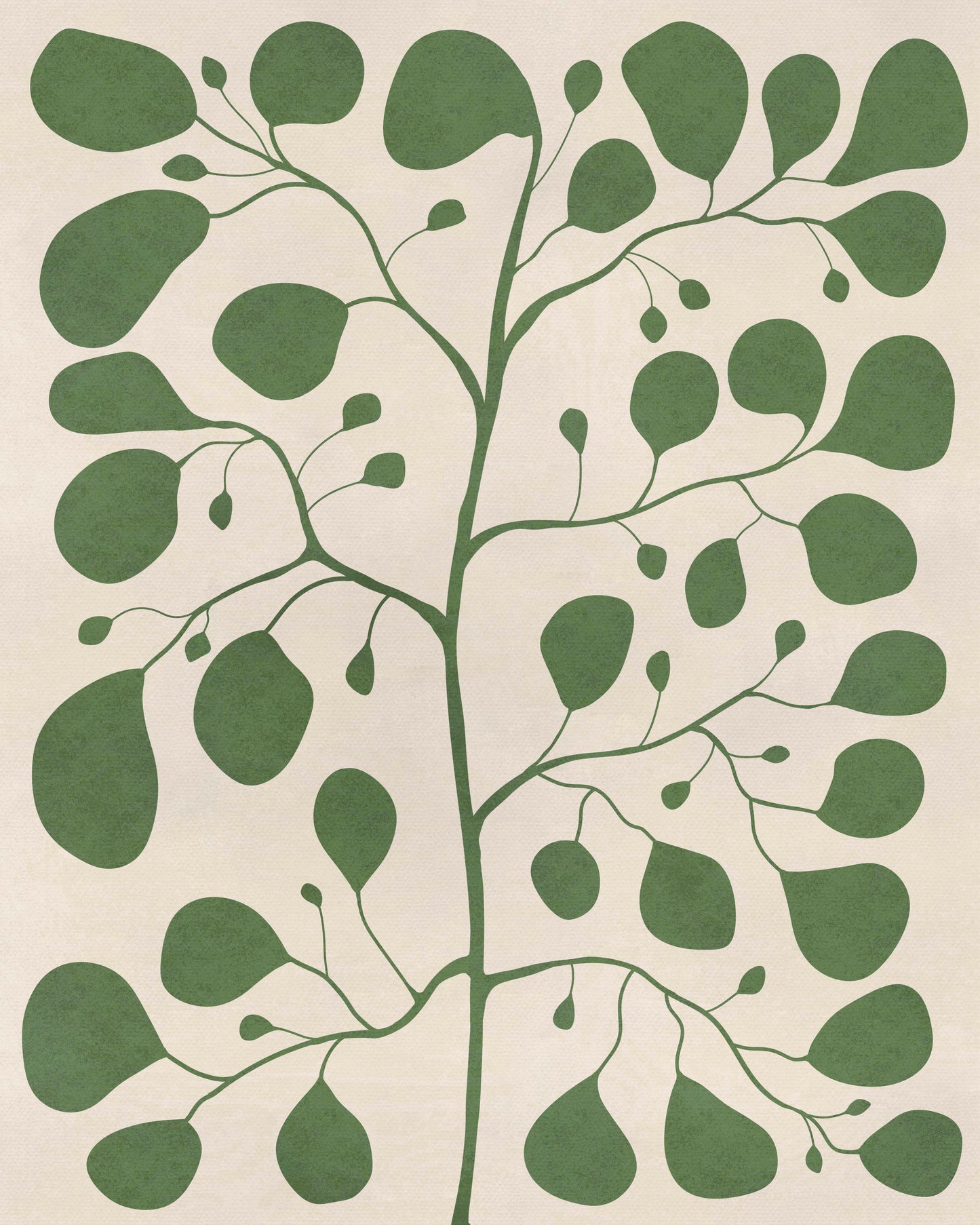 Pilea Fig Tree – Botanisk Poster med Gröna Blad i Tidlös Design