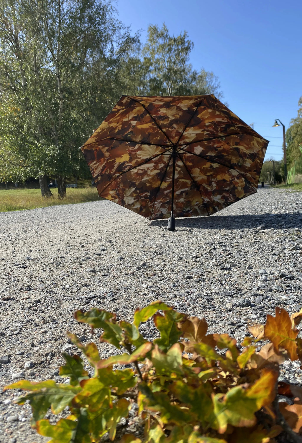 Höst Umbrella – Windproof & UPF50+ Protection