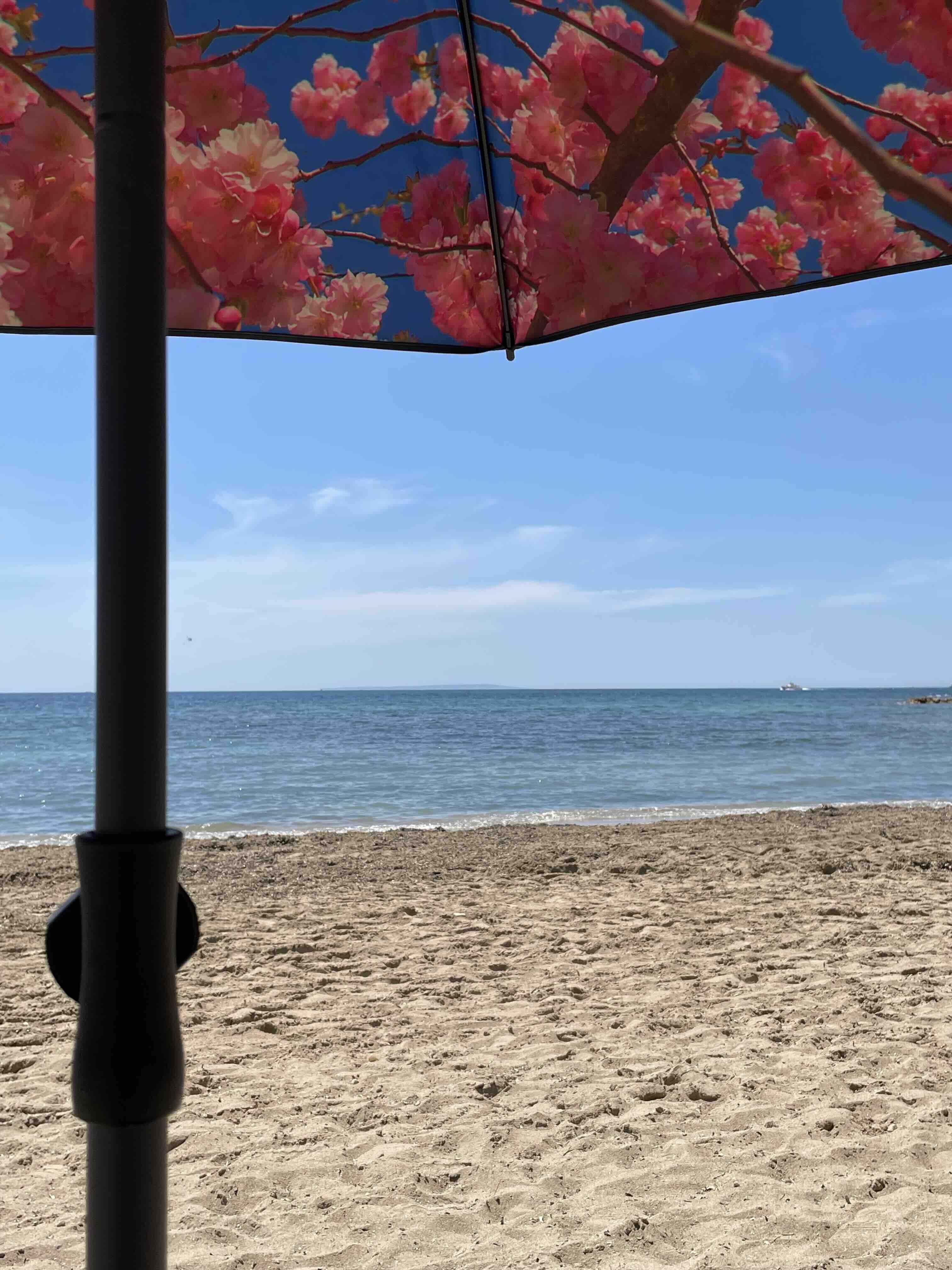 Cherry Beach & Terrace Parasol – UPF50+ Sun Protection