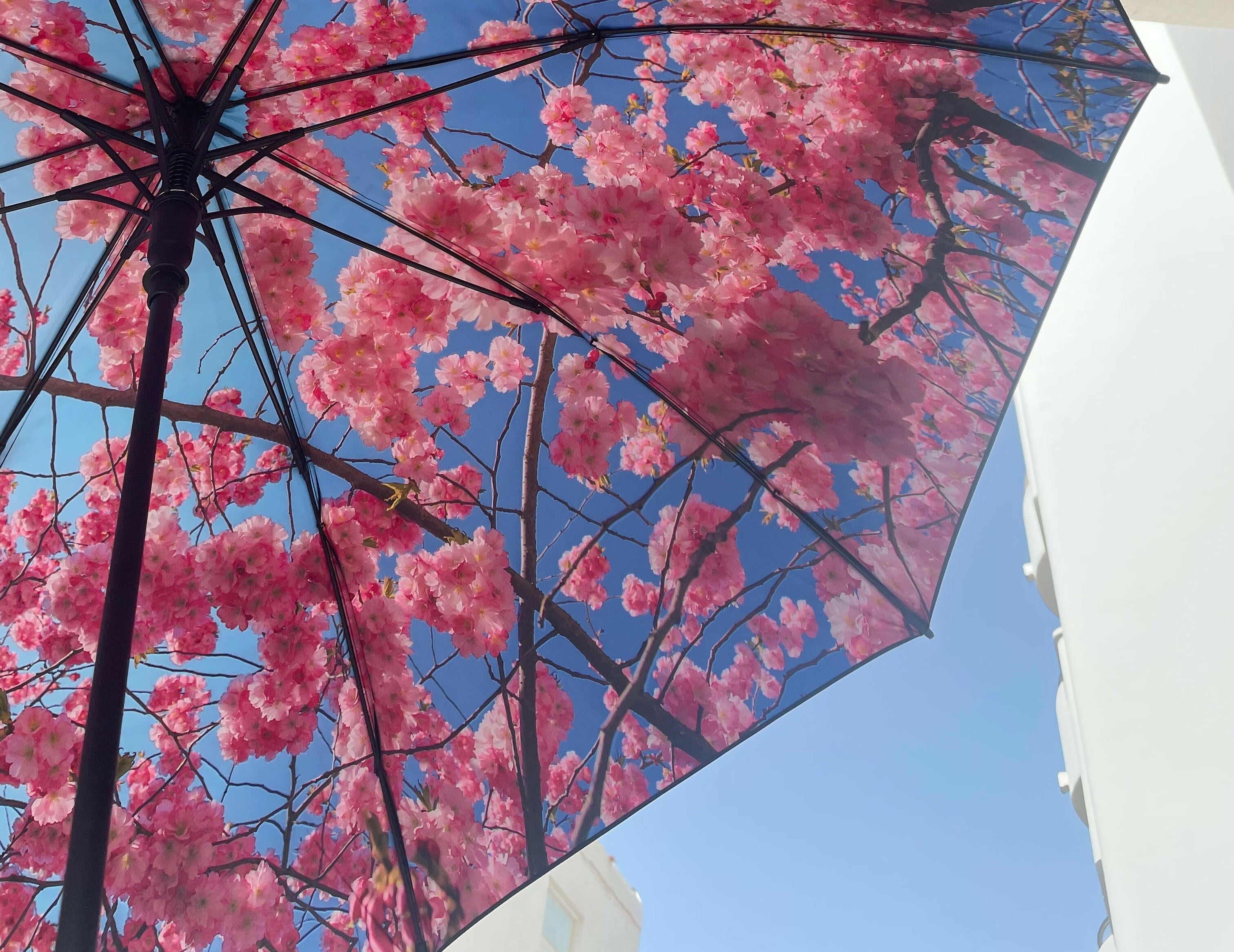 Grand parapluie Cherry – Coupe-vent et UPF50+