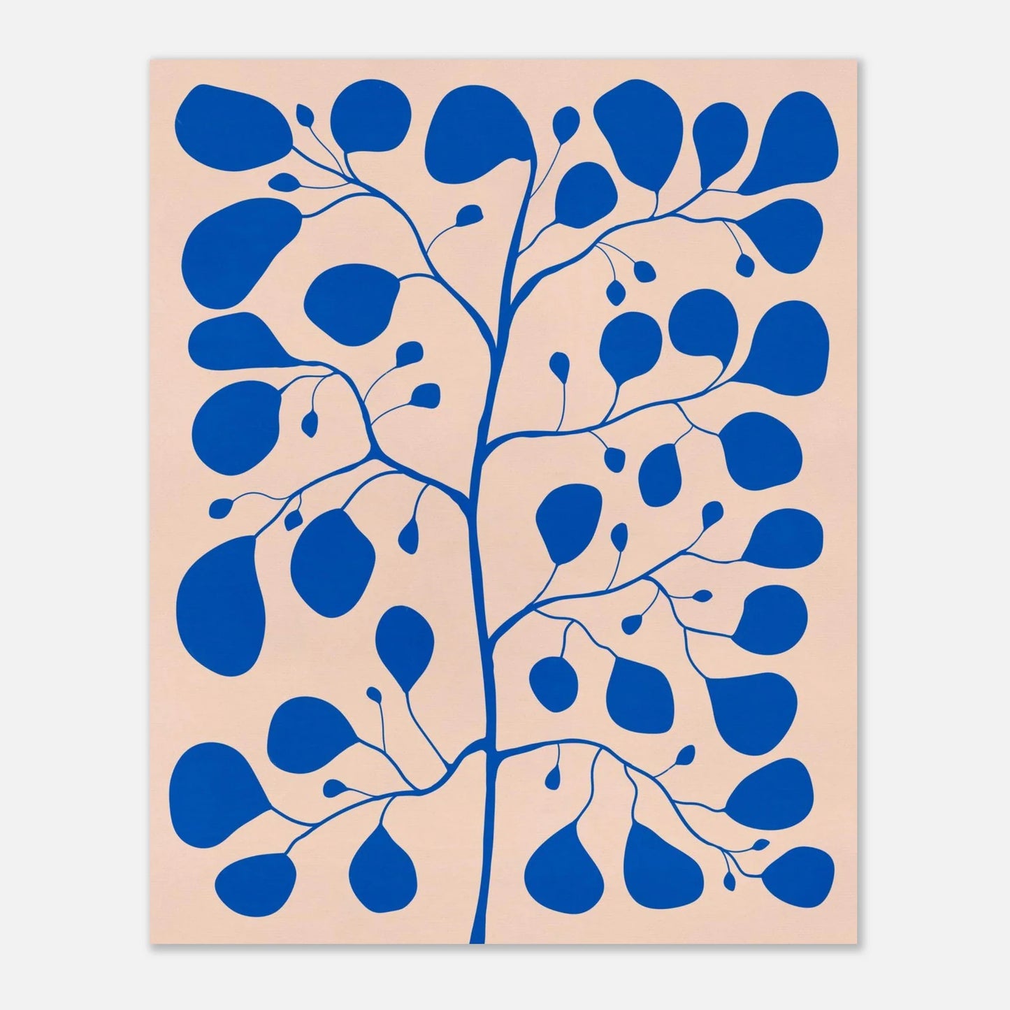 Botanisk Pilea Poster i Blå & Rosa – Modern Växtillustration