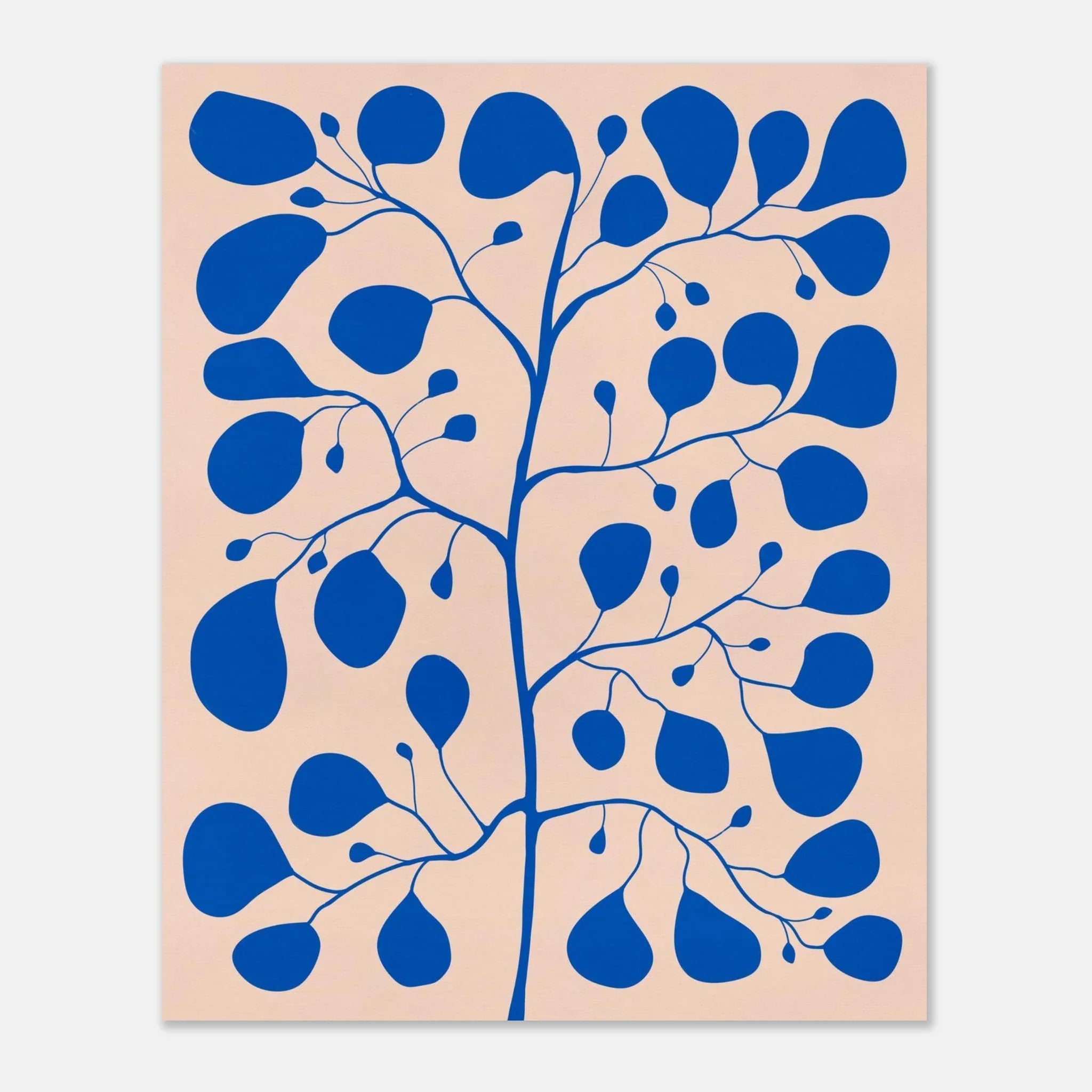 Affiche Botanisk Pilea i Blå &amp; Rosa – Illustration moderne