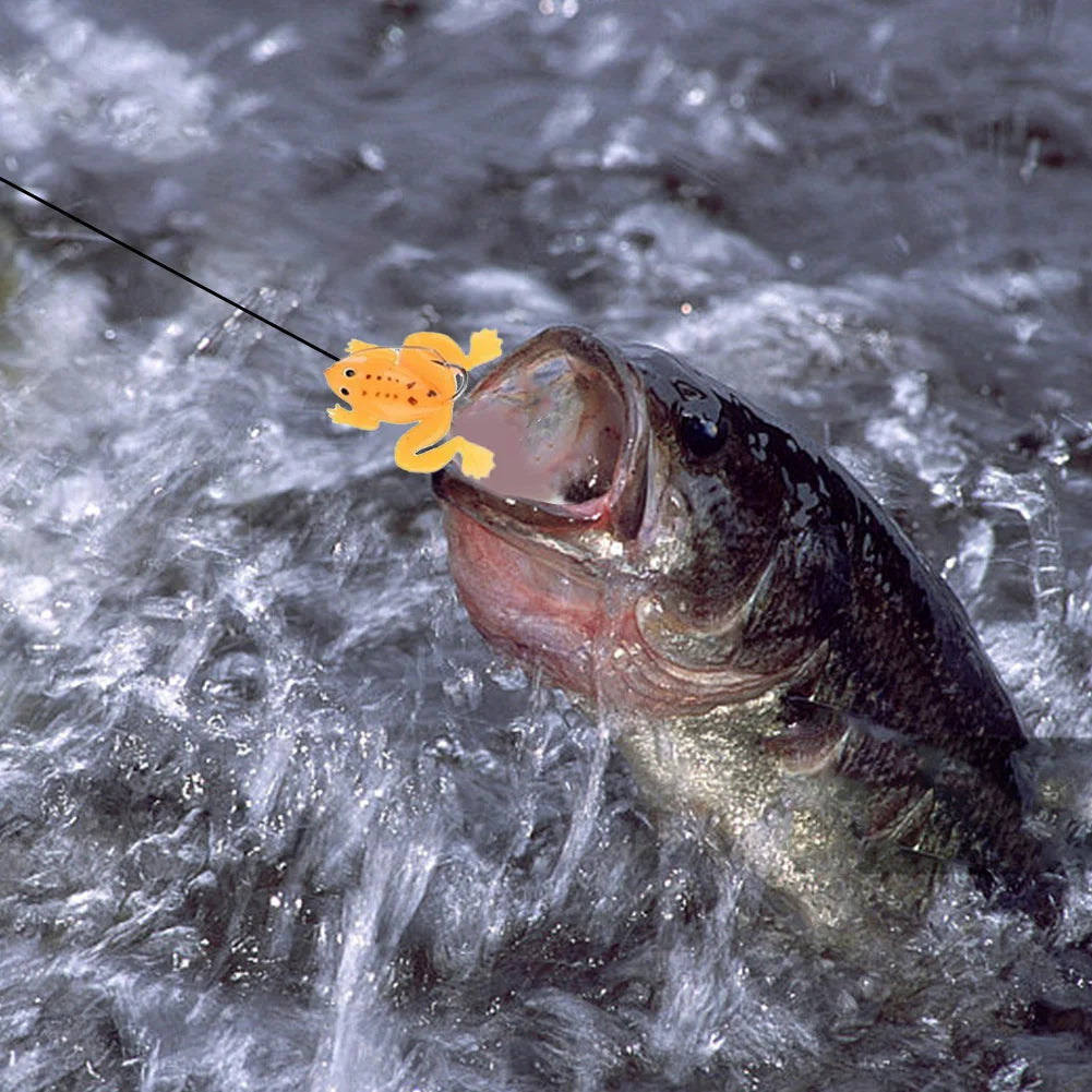 Calendrier de l'Avent 2024 des leurres de pêche – 24 jours de poppers, minnows et crankbaits 