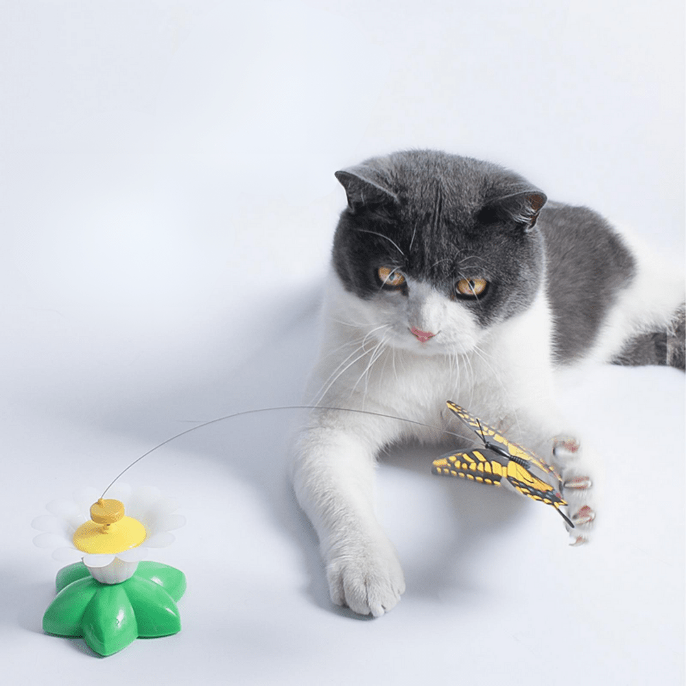 Butterfly Cat Teaser™ – Hands-Free Kattleksak för Timvis Underhållning