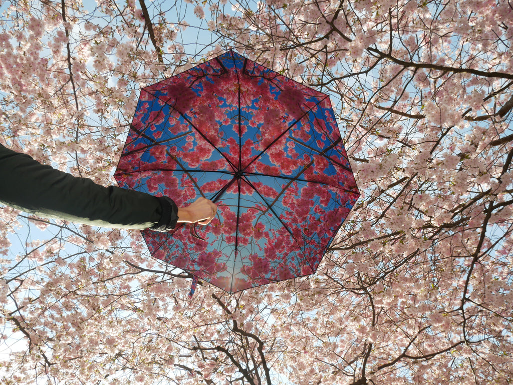 Cherry Umbrella – Windproof & UPF50+ Protection