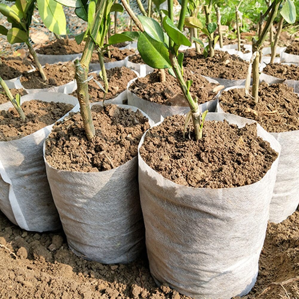 Fiberduk Plant-påsar