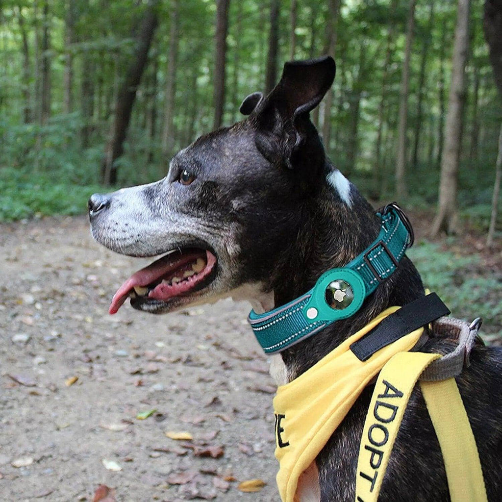 FMW™ - AirTag Hundhalsband - Smart halsband med hållare till Apple AirTag
