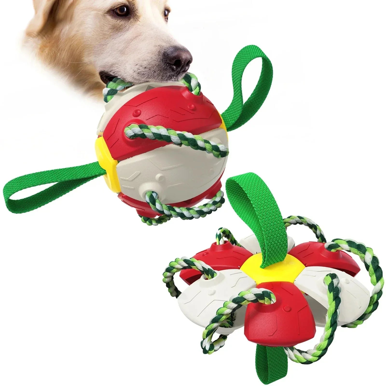 Frisbeeboll - Hundleksak