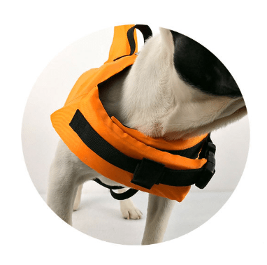 Hundflytväst med Hajfena