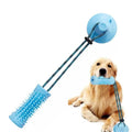 Interactive Dog Chew Ball Toys For Aggressive Chewers With Suction Cup