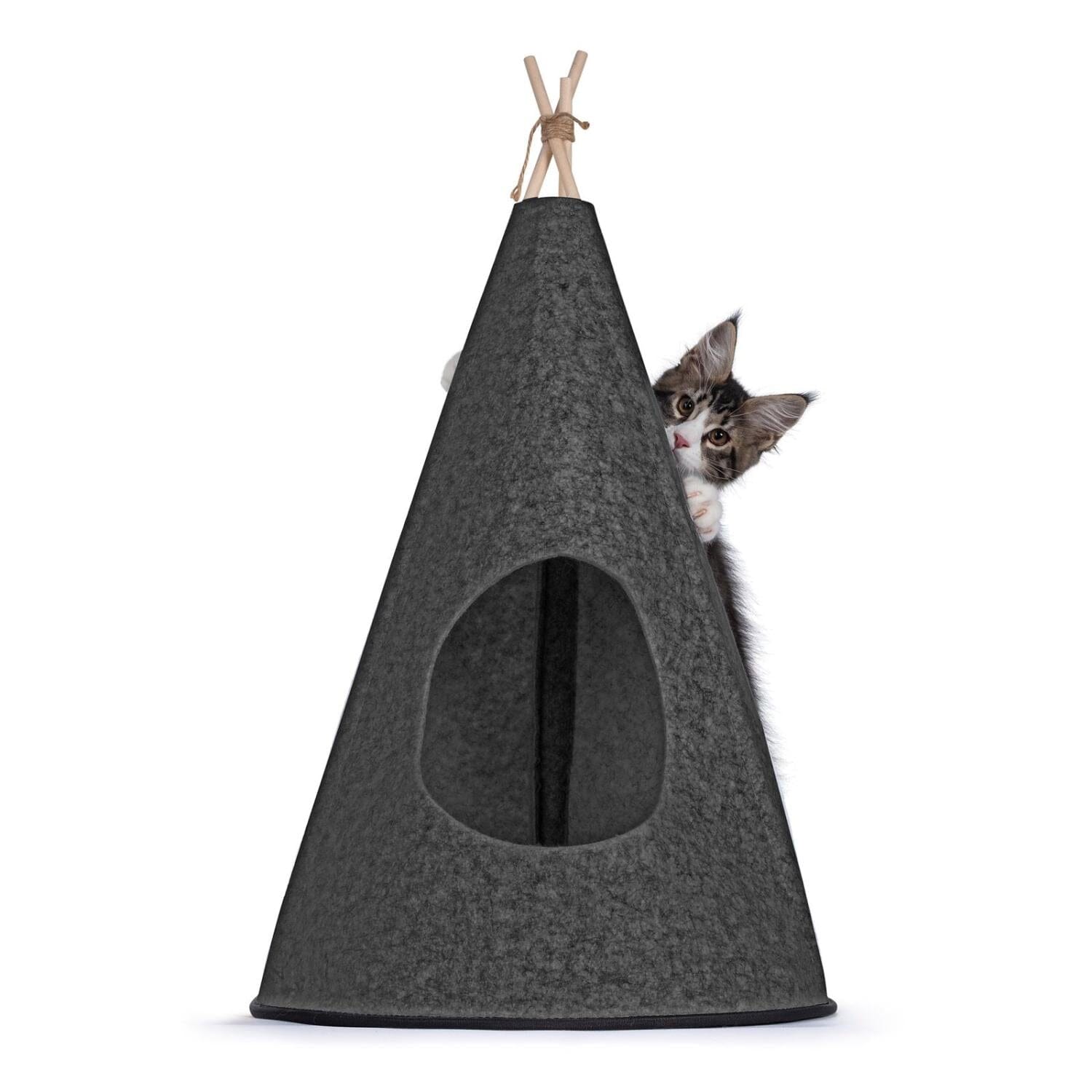 Katt tipitält av filt