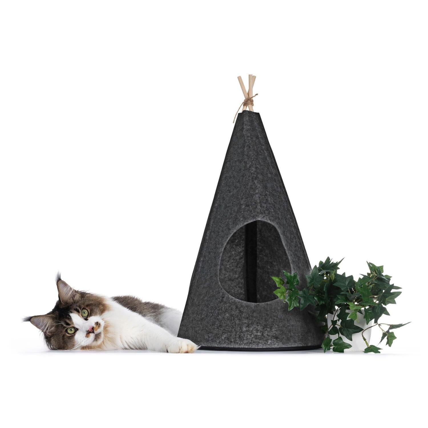 Katt tipitält av filt
