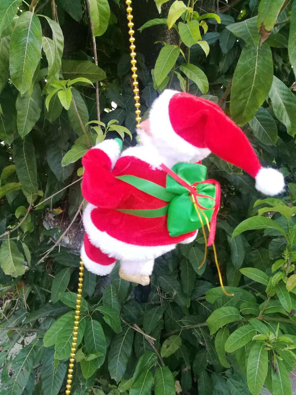 Klättrande tomte