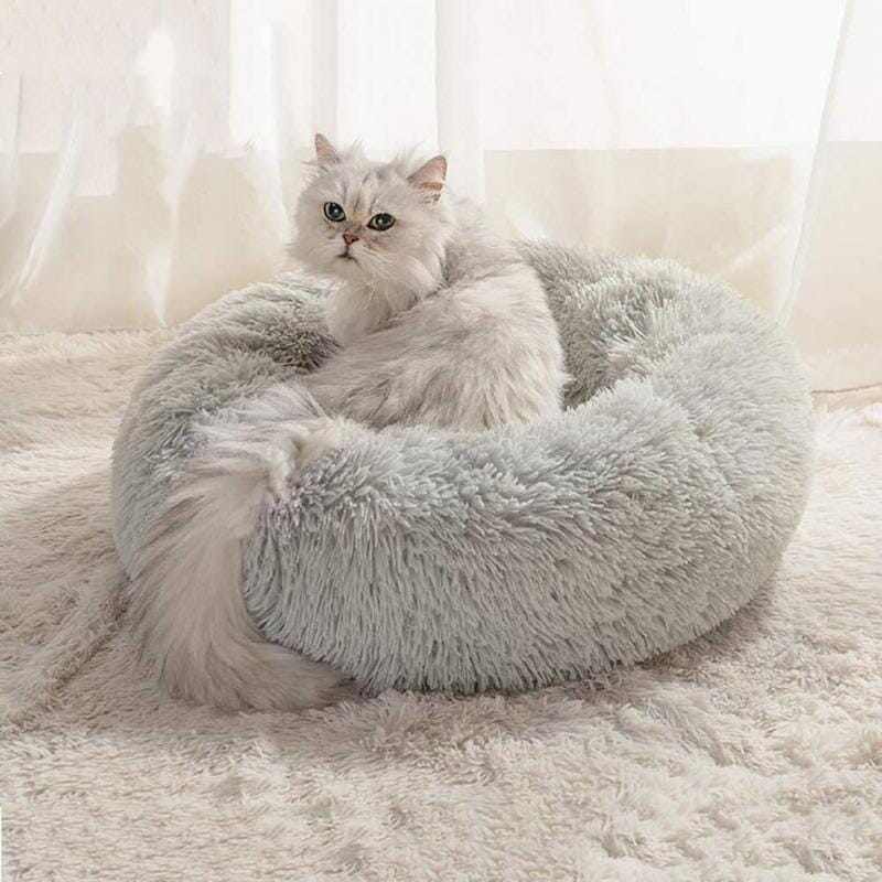 Lugnande kattsäng