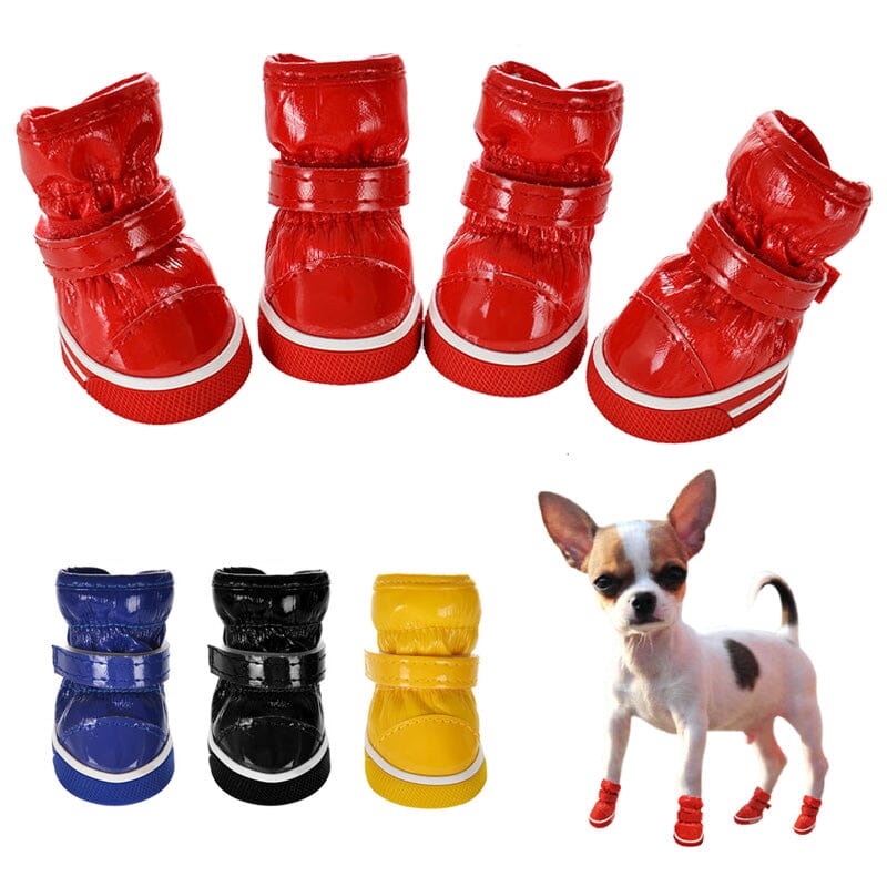 Moonboots för hundar - Hundskor till vintern