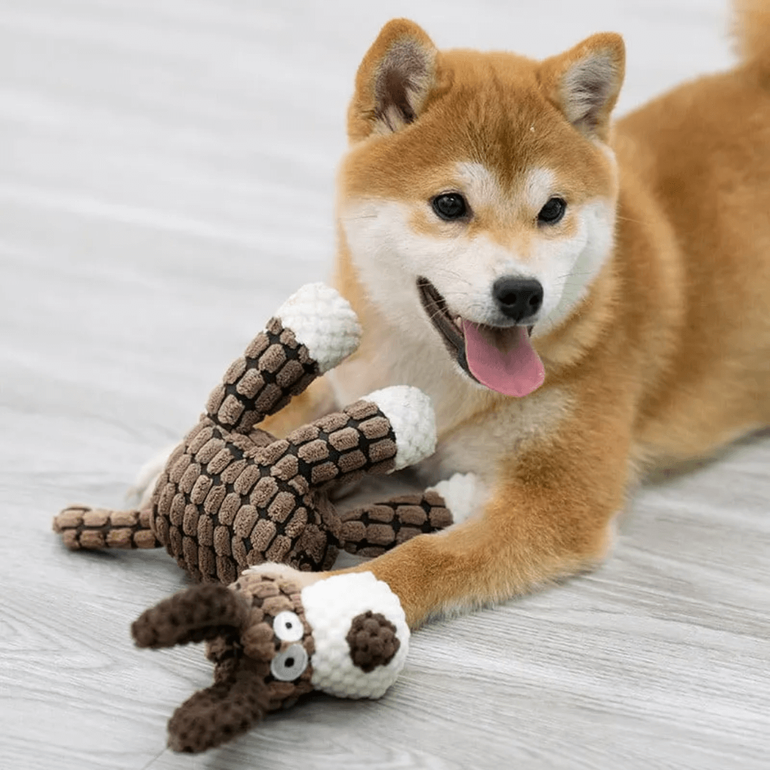 Hållbar leksaksdjur för hund