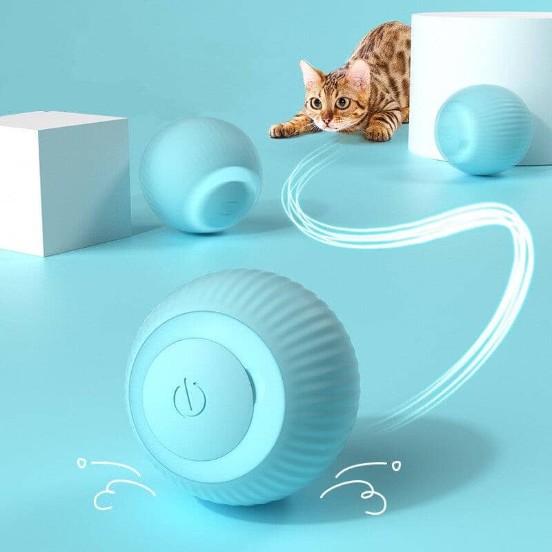 Självrullande Boll Katt