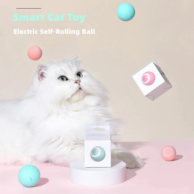 Självrullande Boll Katt