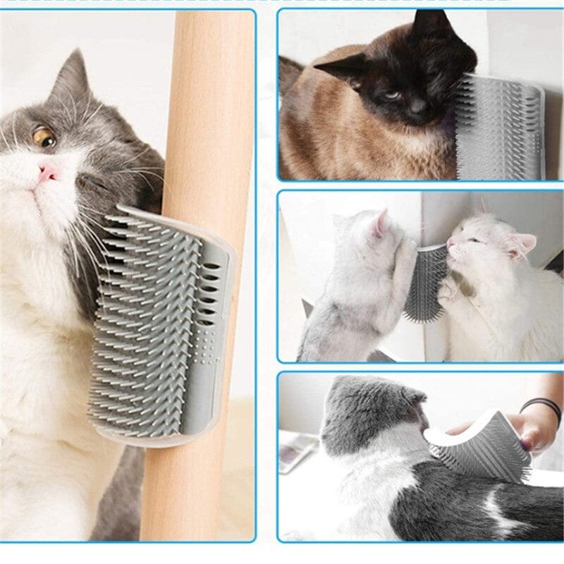 Självvårdsborste För Katt: Det Perfekta Massageverktyget