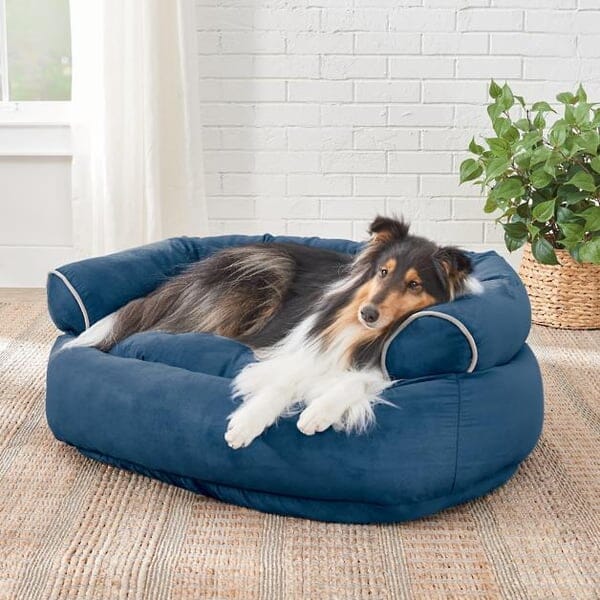 Soffa Hundbädd – Lyxig Komfort för Din Hund