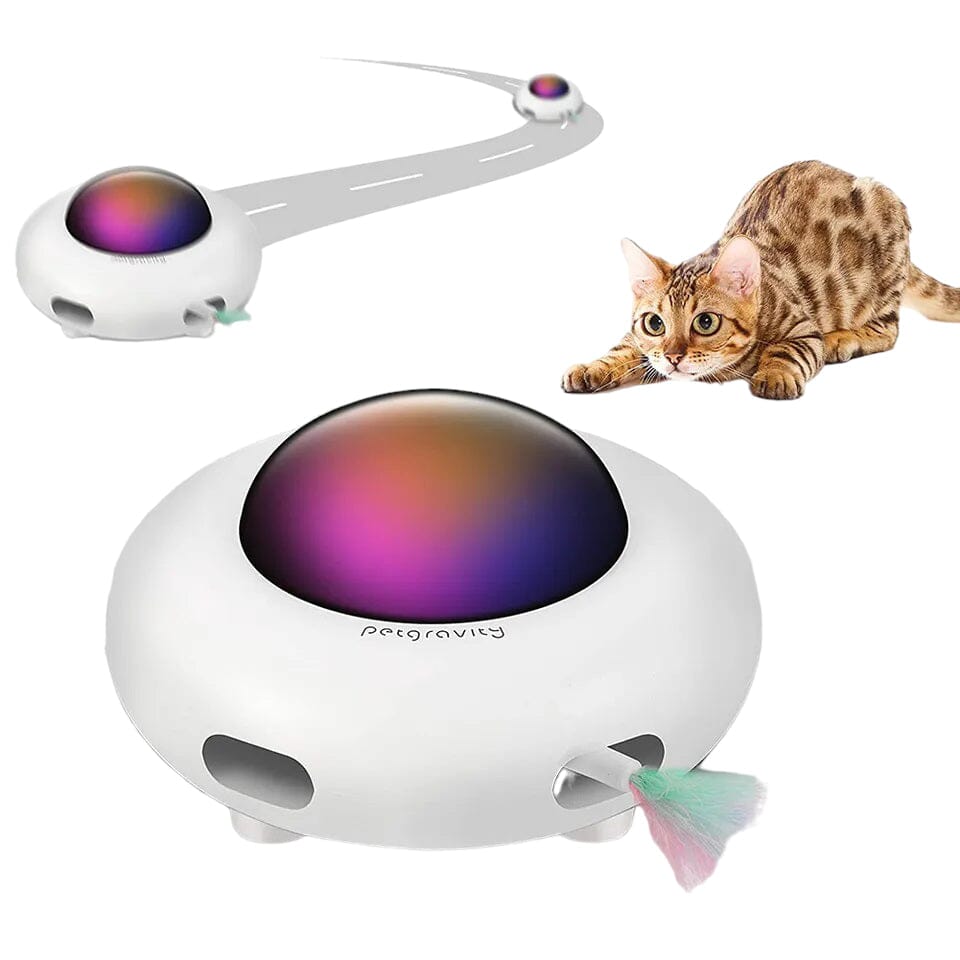 UFO kattleksak